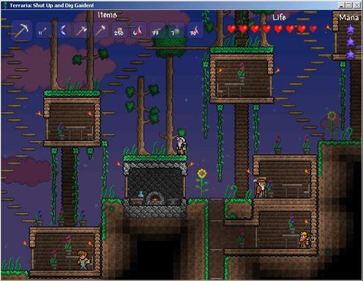 Terraria - А какой у тебя дом?